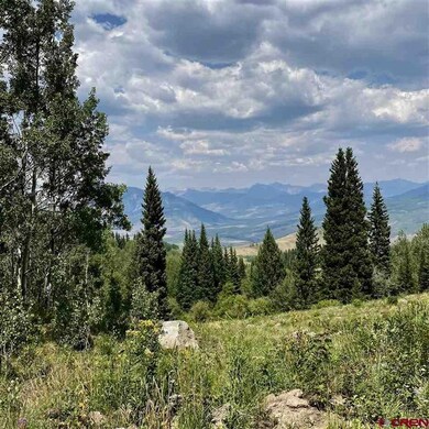 1008 Red Mountain Ranch Upper Loop, Crested Butte, CO 81224 - photo 5