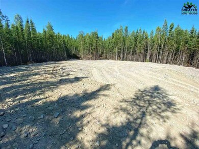 L12 BB Gini's Way, Delta Junction, AK 99737 - photo 4