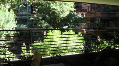 Lush Terrace View