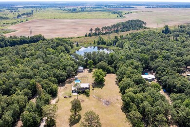 10214 Rabbit Run Rd, Baconton, GA 31716 - photo 2