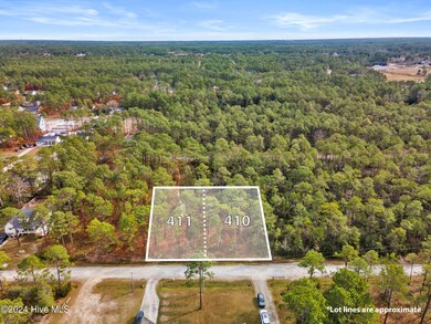 482 & 490 Wood Haven Rd, Boiling Spring Lakes, NC 28461 - photo 4