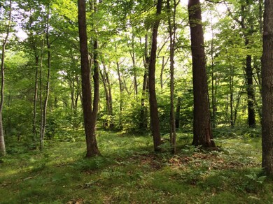 0 Cedar Rd, Lincoln Township, MI 48625 - photo 7