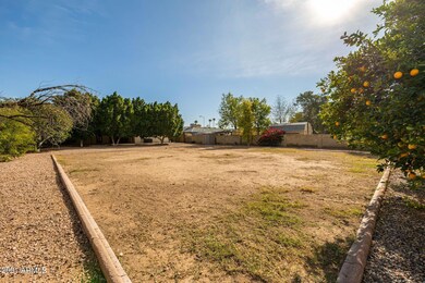 BACKYARD 2
