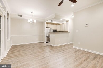 1317 Garden Wall Ct unit 401, Reston, VA 20194 - photo 6