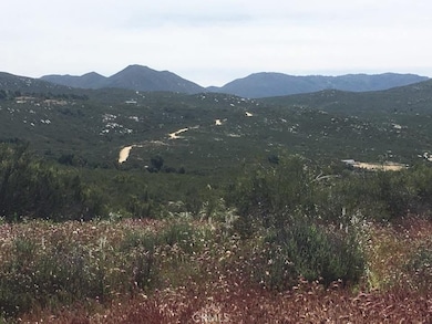 7 Willow Creek Rd, Sage, CA 92544 - photo 3