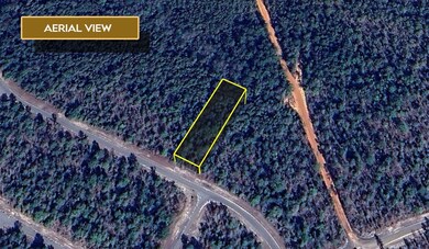 0 Canterbury Dr, Chipley, FL 32428 - photo 6