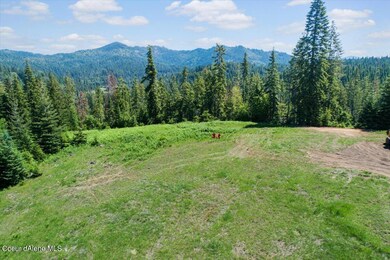 NNA E Hooker Hill Rd, Hayden, ID 83835 - photo 5