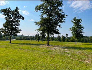 0 Cooks Pond Rd unit 219408, Windsor, SC 29856 - photo 3