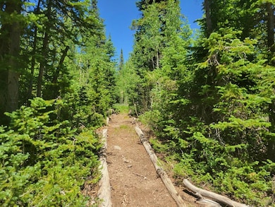 Trails on Lot