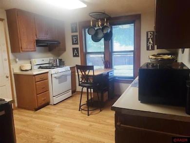 121 3rd Ave NE, Sleepy Eye, MN 56085 - photo 6