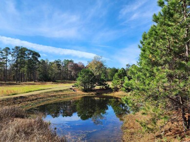 117 Prairie Ln, Heber Springs, AR 72543 - photo 2