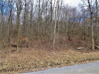 0 Laramie Rd, Carrollton, OH 44615 - photo 3