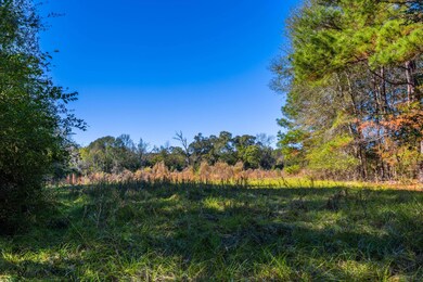 N S Acr 163, Elkhart, TX 75839 - photo 5