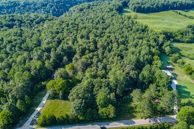 3 Island, Walling, TN 38567 - photo 2