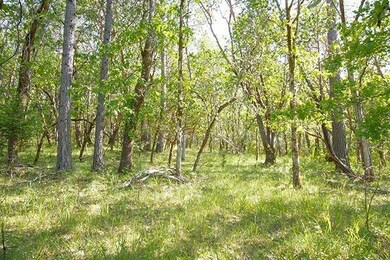 0 Hugo Rd, Grants Pass, OR 97526 - photo 3