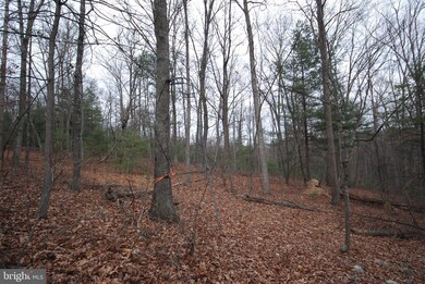 Lot 52 Pony Express Ln, Augusta, WV 26704 - photo 4