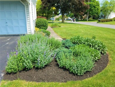 Well maintained, mature landscaping.