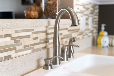 Kitchen Sink Area