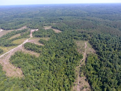 0 Mathis Cemetery Rd unit RTC2414563, Stewart, TN 37175 - photo 6