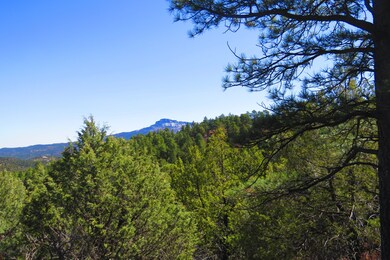 0 Chipmunk Dr unit B46 17-366, Trinidad, CO 81082 - photo 3