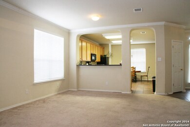 8411 Spicewood Bend, San Antonio, TX 78255 - photo 5