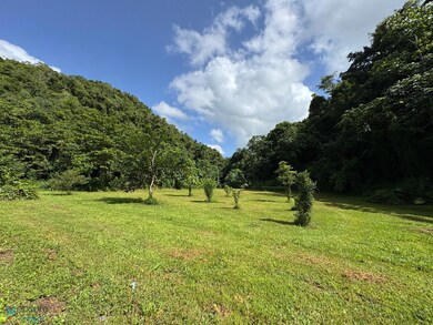 1 Bo Dominguito Carr 651, Arecibo, PR 00612 - photo 5