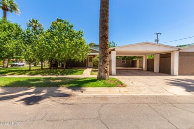 29 Palm