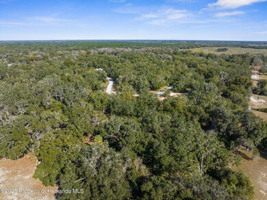 4-web-or-mls-DJI_20241228072035_0125_D