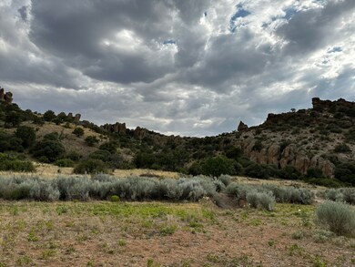 0 Xx C Bar Ranch Rd unit 17145279, Silver City, NM 88061 - photo 7