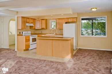 Downstairs Kitchen