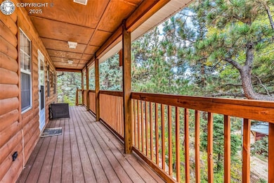 16169 State Highway 96, Westcliffe, CO 81252 - photo 7