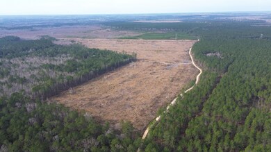 0 Newington Hwy unit 25460805, Sylvania, GA 30467 - photo 7