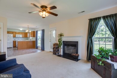 29221 General Rodes Ln, Rhoadesville, VA 22542 - photo 6