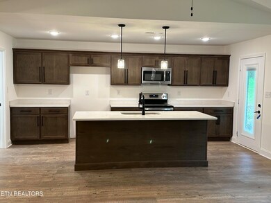 671 Snowflower Cir unit 146, Pigeon Forge, TN 37863 - photo 7