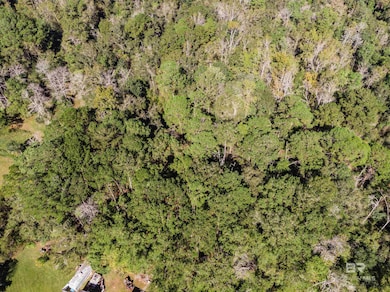 0 Rosie's Rd unit 2, Mobile, AL 36693 - photo 7