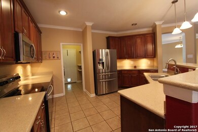 24503 Elise Falls, San Antonio, TX 78255 - photo 7