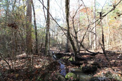 40+/- AC LOT 6 Hartness Rd, Clover, SC 29710 - photo 4