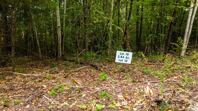 16-10 Winnipesaukee Dr unit Survey Lot 10-Town L, Wolfeboro, NH 03894 - photo 4