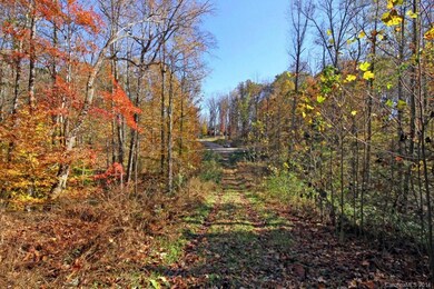 135 Wildeman Trail, Statesville, NC 28625 - photo 4