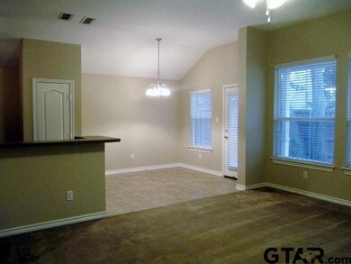 100 100 Alpine, Tyler, TX 75701 - photo 3