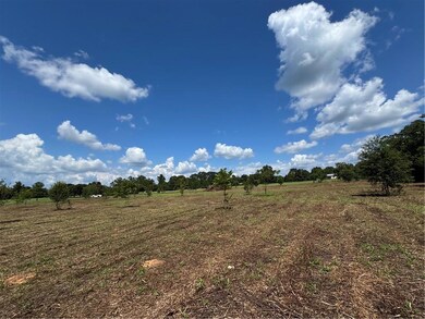 5.5 Acres Eaglesnest Ln, Franklinton, LA 70438 - photo 6