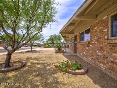 Front Yard (1)