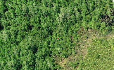 0 Dill Rd unit MFRO6234191, Orlando, FL 32820 - photo 3