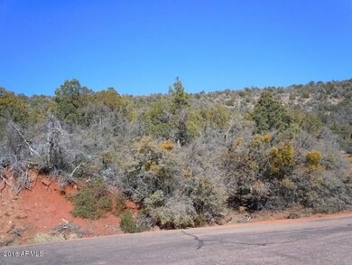 46 W Coyote Drive -- unit 46, Strawberry, AZ 85544 - photo 6