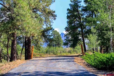 2613 Running Horse Place, Pagosa Springs, CO 81147 - photo 3