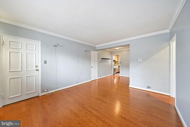 211 N Trenton St unit 2113, Arlington, VA 22203 - photo 3