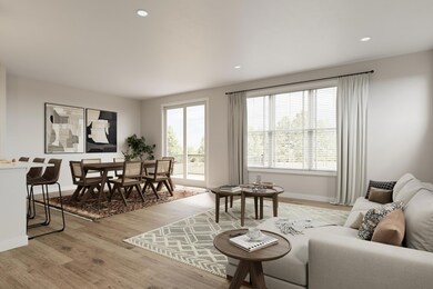 Olive Lane Living Area