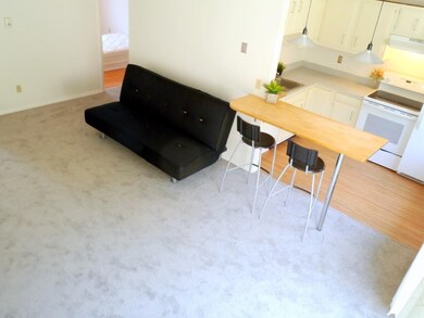 170 E Hadley Rd unit 12, Amherst, MA 01002 - photo 3