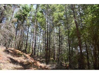 0 NW Meadow Lake Rd unit 19045317, Carlton, OR 97111 - photo 7