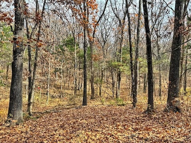 000 SE 500 Rd, Collins, MO 64738 - photo 5